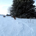 Fotky ze SKI ALPINE WORKSHOPU 2008, Dobr snhov podmnky, skvl lektoi - dky Ondro a Tomi, a obrovsk nasazen vech astnk pineslo ken ovoce. Tady se mete kouknout na pr fotek z prbhu.... - fotografie 98