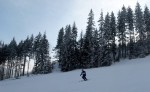 Fotky ze SKI ALPINE WORKSHOPU 2008, Dobr snhov podmnky, skvl lektoi - dky Ondro a Tomi, a obrovsk nasazen vech astnk pineslo ken ovoce. Tady se mete kouknout na pr fotek z prbhu.... - fotografie 125