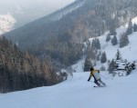 Fotky ze SKI ALPINE WORKSHOPU 2008, Dobr snhov podmnky, skvl lektoi - dky Ondro a Tomi, a obrovsk nasazen vech astnk pineslo ken ovoce. Tady se mete kouknout na pr fotek z prbhu.... - fotografie 127