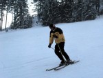 Fotky ze SKI ALPINE WORKSHOPU 2008, Dobr snhov podmnky, skvl lektoi - dky Ondro a Tomi, a obrovsk nasazen vech astnk pineslo ken ovoce. Tady se mete kouknout na pr fotek z prbhu.... - fotografie 131