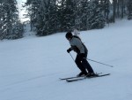 Fotky ze SKI ALPINE WORKSHOPU 2008, Dobr snhov podmnky, skvl lektoi - dky Ondro a Tomi, a obrovsk nasazen vech astnk pineslo ken ovoce. Tady se mete kouknout na pr fotek z prbhu.... - fotografie 133