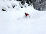 Fotky ze SKI ALPINE WORKSHOPU 2008, Dobr snhov podmnky, skvl lektoi - dky Ondro a Tomi, a obrovsk nasazen vech astnk pineslo ken ovoce. Tady se mete kouknout na pr fotek z prbhu.... - fotografie 172