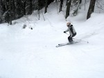 Fotky ze SKI ALPINE WORKSHOPU 2008, Dobr snhov podmnky, skvl lektoi - dky Ondro a Tomi, a obrovsk nasazen vech astnk pineslo ken ovoce. Tady se mete kouknout na pr fotek z prbhu.... - fotografie 192