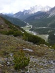 SWISS RAFTING - to nejlep, Po velkch detch byly eky opravdu avnat a tak to byl opravdov adrenalin! - fotografie 64