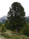 SWISS RAFTING - to nejlep, Po velkch detch byly eky opravdu avnat a tak to byl opravdov adrenalin! - fotografie 82