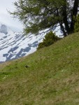 SWISS RAFTING - to nejlep, Po velkch detch byly eky opravdu avnat a tak to byl opravdov adrenalin! - fotografie 141