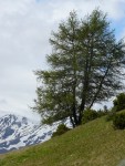 SWISS RAFTING - to nejlep, Po velkch detch byly eky opravdu avnat a tak to byl opravdov adrenalin! - fotografie 142