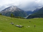 SWISS RAFTING - to nejlep, Po velkch detch byly eky opravdu avnat a tak to byl opravdov adrenalin! - fotografie 146