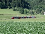 ENNS RAFTING 2008, Dva krsn seky Ennsu = dva ndhern dny na raftech v Rakousku - fotografie 31