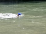 ENNS RAFTING 2008, Dva krásné úseky Ennsu = dva nádherné dny na raftech v Rakousku - fotografie 109
