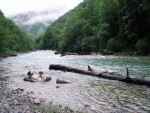 RAFTING TARA 2008 - expedin rafting, Tak toto byl opravdu extrmn zitek. V ern hoe napadl snh..... Statenost astnk vak byla nezlomn! - fotografie 234