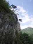 RAFTING TARA 2008 - expedin rafting, Tak toto byl opravdu extrmn zitek. V ern hoe napadl snh..... Statenost astnk vak byla nezlomn! - fotografie 282