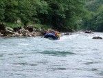 RAFTING TARA 2008 - expedin rafting, Tak toto byl opravdu extrmn zitek. V ern hoe napadl snh..... Statenost astnk vak byla nezlomn! - fotografie 369