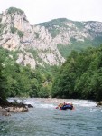 RAFTING TARA 2008 - expedin rafting, Tak toto byl opravdu extrmn zitek. V ern hoe napadl snh..... Statenost astnk vak byla nezlomn! - fotografie 386