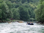 RAFTING TARA 2008 - expedin rafting, Tak toto byl opravdu extrmn zitek. V ern hoe napadl snh..... Statenost astnk vak byla nezlomn! - fotografie 390