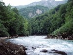 RAFTING TARA 2008 - expedin rafting, Tak toto byl opravdu extrmn zitek. V ern hoe napadl snh..... Statenost astnk vak byla nezlomn! - fotografie 394