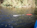 ZAMYKÁNÍ LABE 2008, Nádherné počasí a ještě hezčí masky, no to byla oblíbená poslední akce sezony ... Díky všem co přijeli! - fotografie 104